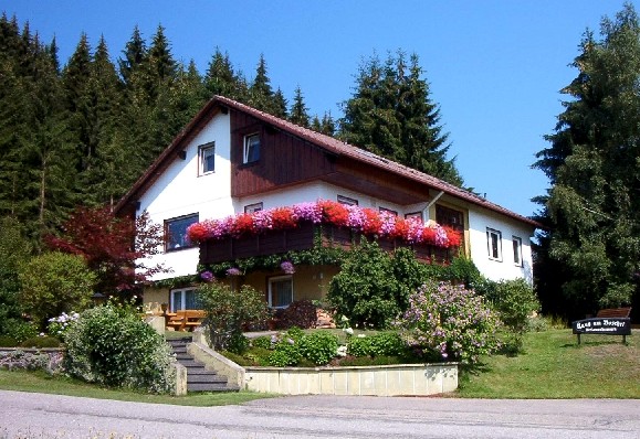 Im Sommer ...
