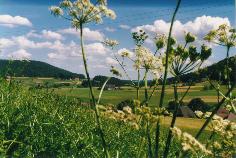 Sulzbachtal